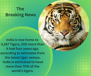 Importance Of Tigers