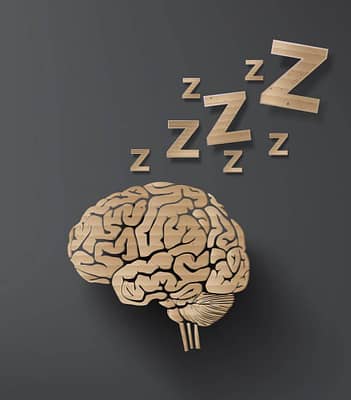 The science of sleep