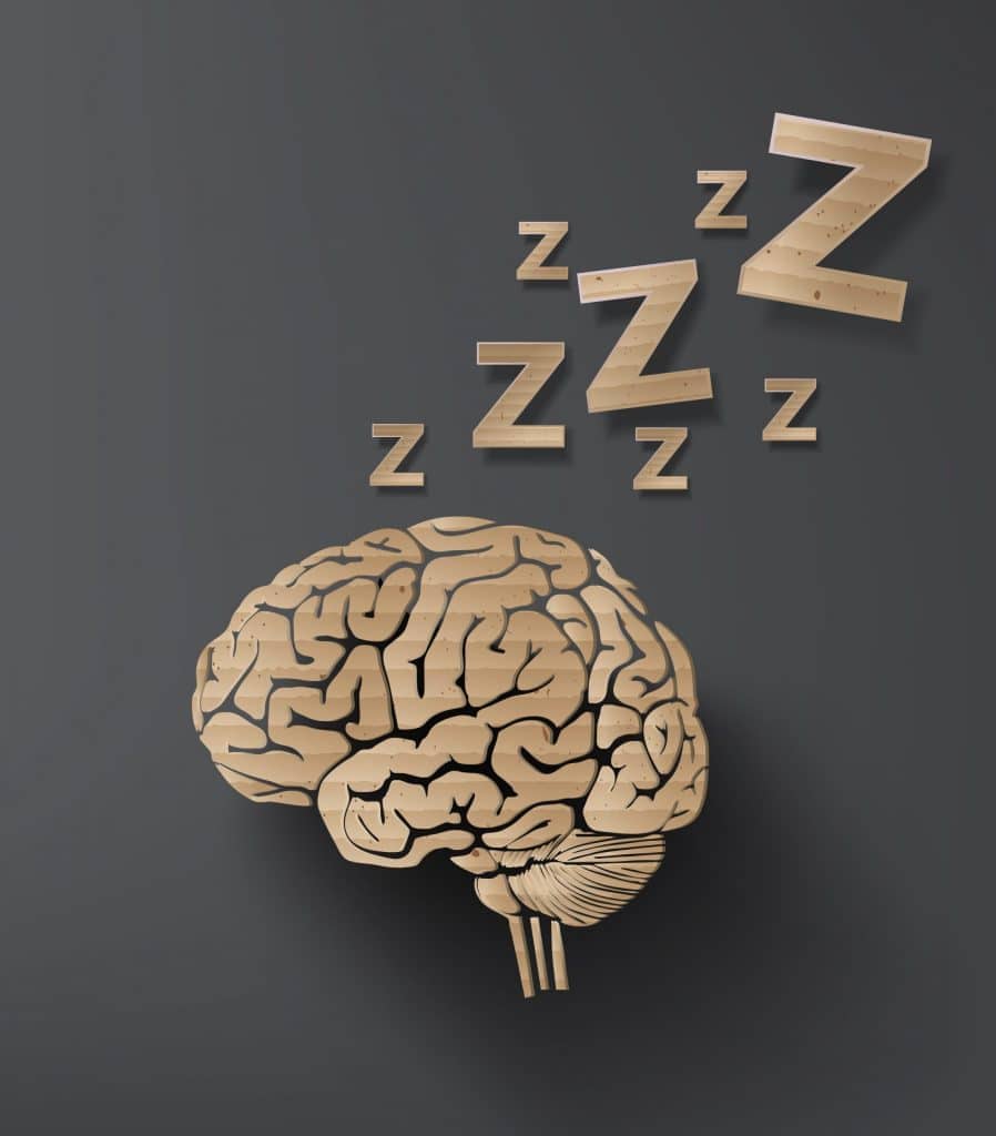 The science of sleep